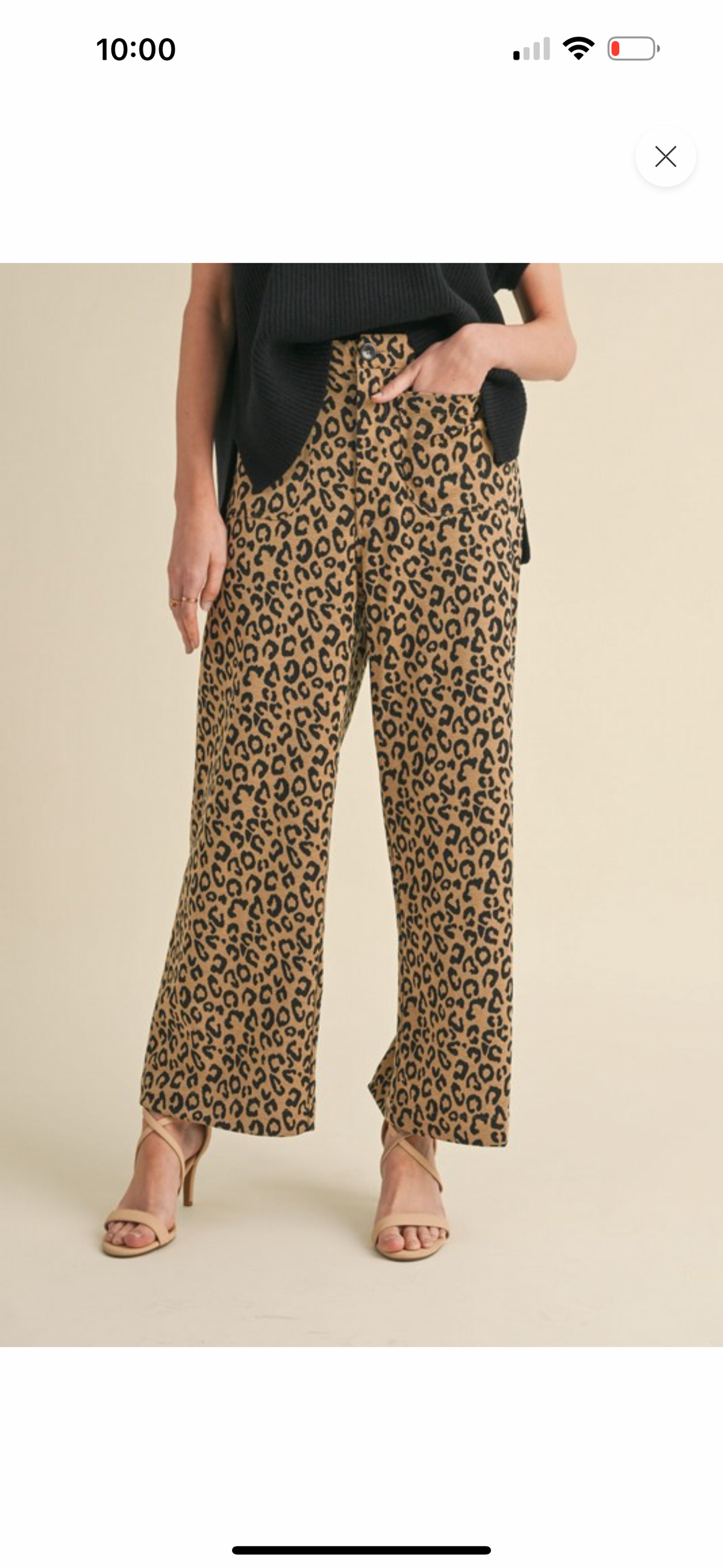 Crazy In Love Leopard Pants